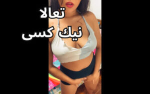 arab egyptian sharmota masrya nik kosi gamed