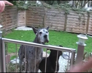 Dirty blonde German MILF gets assfucked before a facial